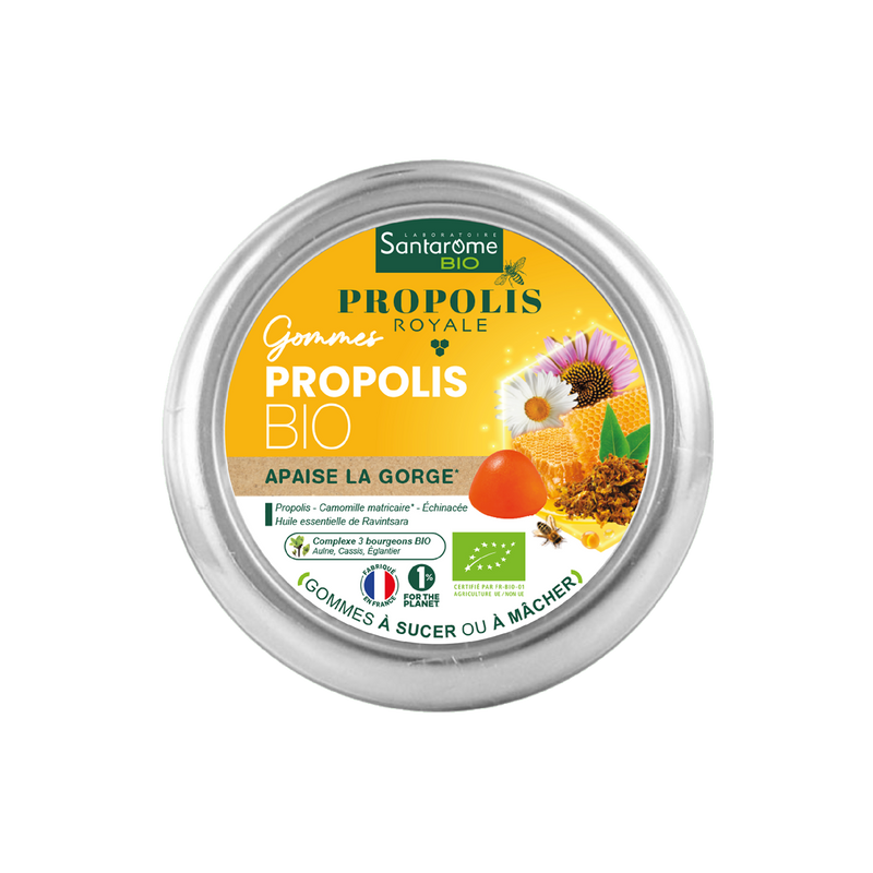 Propolis : propriétés, bienfaits et utilisations