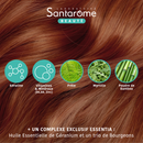 Sublimes Cheveux Force & Croissance - 30 gummies