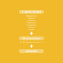 HYDRA'MAX Mangue Ananas - 20 pastilles hydratation