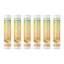 HYDRA'MAX Mangue Ananas - 20 pastilles hydratation