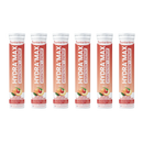 HYDRA'MAX Pêche - 20 pastilles hydratation