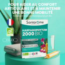 Harpagophytum Bio 2000 - 20 ampoules