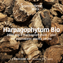 Harpagophytum Bio 2000 - 20 ampoules
