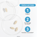 Magné 360 Max LP – Libération prolongée