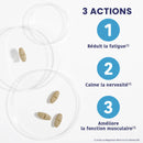 Pack gummies mélatonine & magnésium