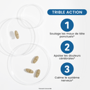 Maux de Tête Flash - 20 comprimés