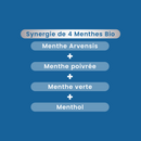 Roll-on Maux de Tête Bio