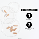 Iron Bisglycinate 14 mg + Cofactors (Vitamins C, B9, B12) - 60 Capsules