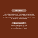 Lion's Mane + 400 mg - 60 gélules