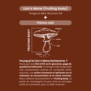 Lion's Mane + 400 mg - 60 gélules