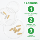 Pack Digestion - Gélules