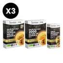 Manuka Royal Immunity Pack - Ampoules