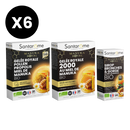 Manuka Royal Immunity Pack - Ampoules