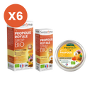 Pack Propolis Royale
