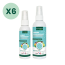 Pack Spray Assainissant