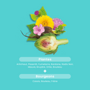 Programme Ultra Détox Bio - 30 ampoules