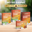 Ruche Royale - Pastilles gorge