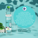 Pure Sève de Bouleau Bio