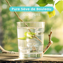 Pure Sève de Bouleau Bio
