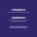 Respi'rub - Pastilles Gorge Bio