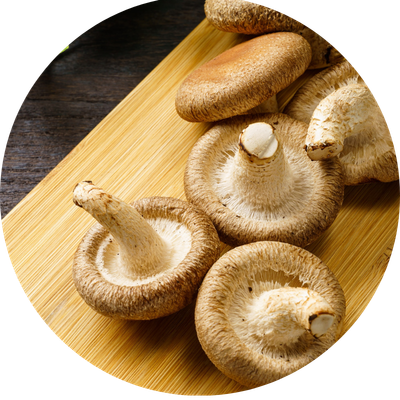 shiitake mushroom