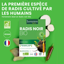 Radis Noir Bio - 20 ampoules