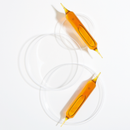 Radis Noir Bio - 20 ampoules