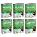 Radis Noir Bio - 20 ampoules
