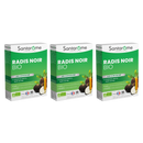 Radis Noir Bio - 20 ampoules