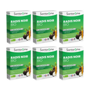 Radis Noir Bio - 20 ampoules