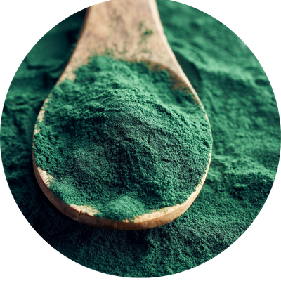 Spirulina