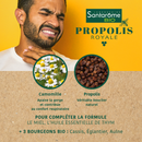 Propolis Royale Spray Bio