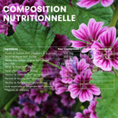 Transit Flash Bio - 15 comprimés