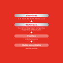 Multivitamines Vita'Max Effervescent - 20 comprimés