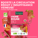 Vigne Rouge Bio - 20 ampoules