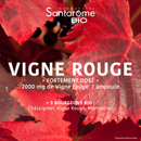 Vigne Rouge Bio - 20 ampoules